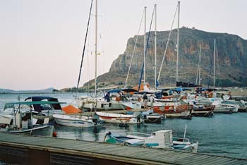 F1000020